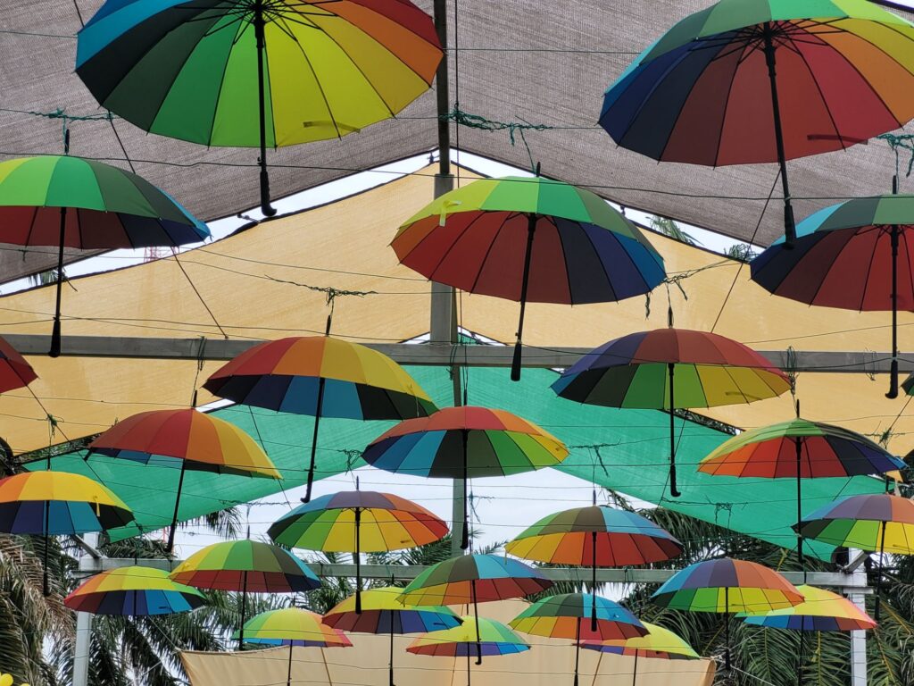 umbrellas